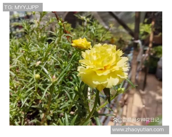 细数太阳五大高光时刻，满满回忆杀